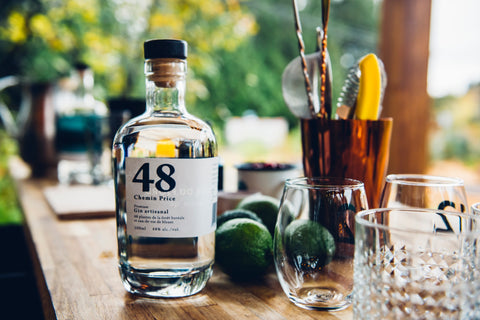 gin 48 plantes et eau de vie de bleuet