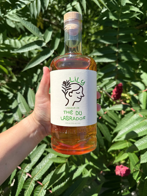 liqueur de plantes québec
