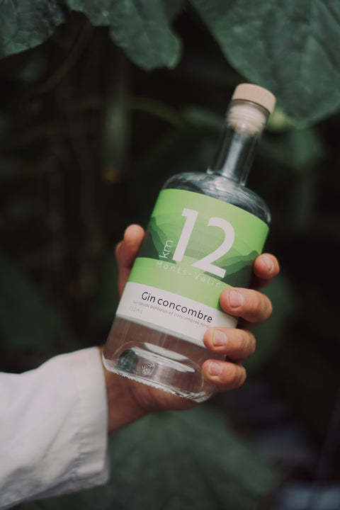 Gin concombre km 12 Distillerie du Fjord