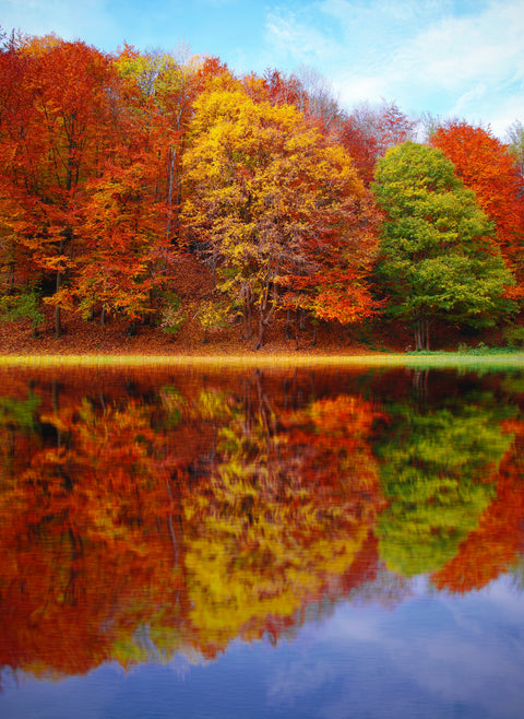 Les couleurs de l'automne au Québec 